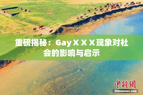 重磅揭秘：GayⅩⅩⅩ现象对社会的影响与启示