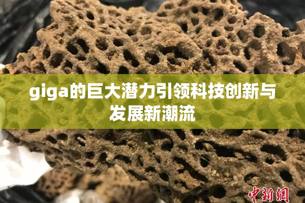 giga的巨大潜力引领科技创新与发展新潮流