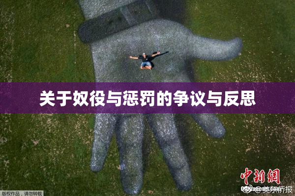 关于奴役与惩罚的争议与反思