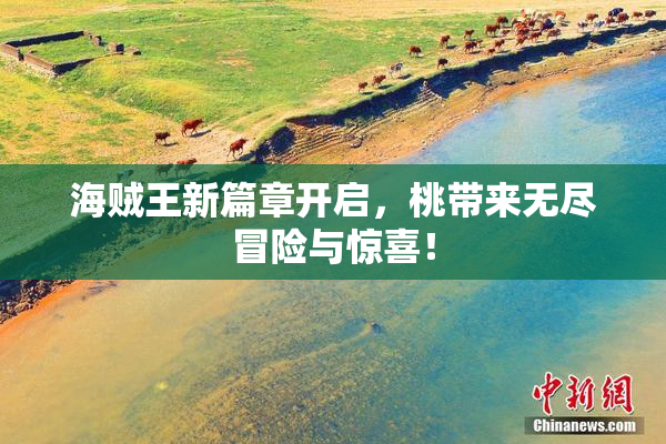 海贼王新篇章开启，桃带来无尽冒险与惊喜！