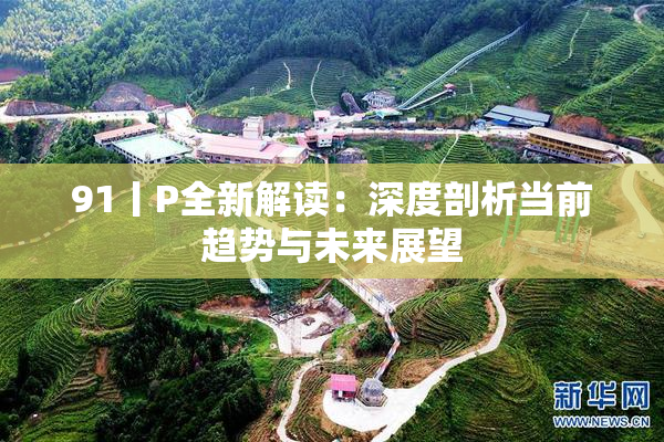 91丨P全新解读：深度剖析当前趋势与未来展望