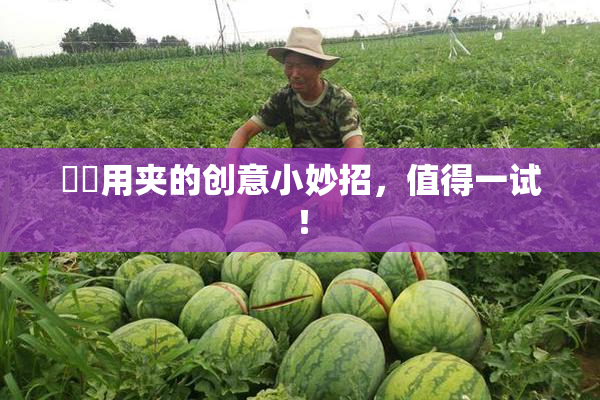 妺妺用夹的创意小妙招，值得一试！