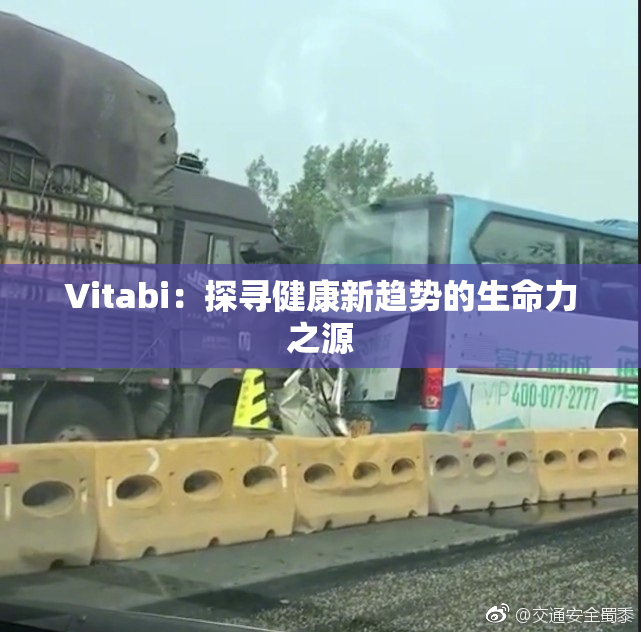 Vitabi：探寻健康新趋势的生命力之源