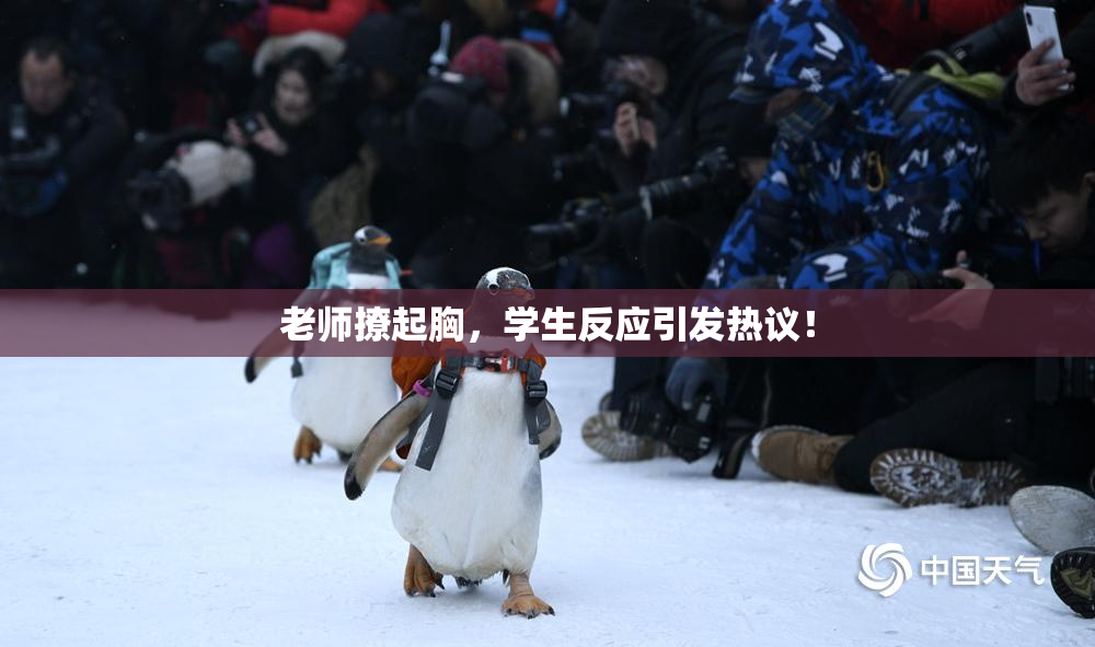 老师撩起胸，学生反应引发热议！