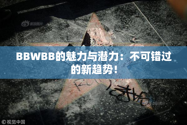 BBWBB的魅力与潜力：不可错过的新趋势！
