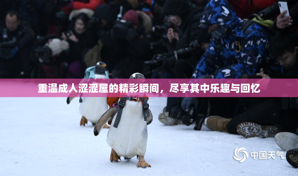 重温成人涩涩屋的精彩瞬间，尽享其中乐趣与回忆