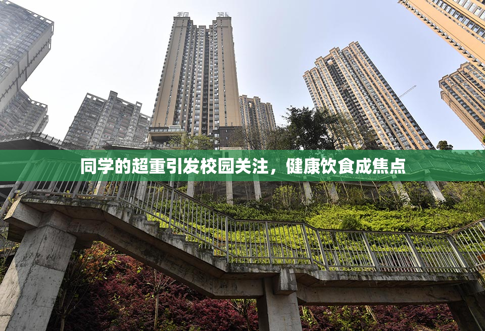 同学的超重引发校园关注，健康饮食成焦点