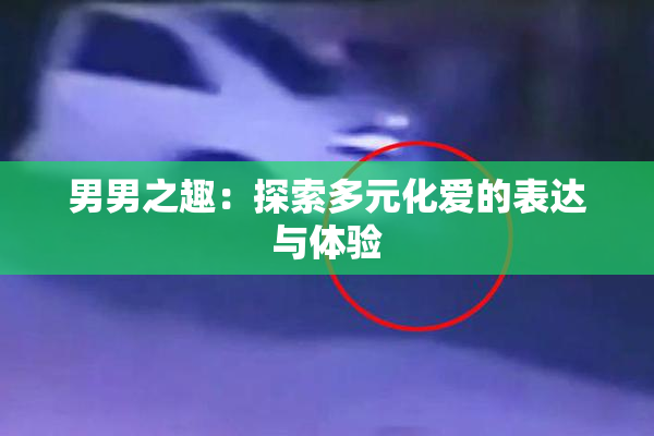男男之趣：探索多元化爱的表达与体验