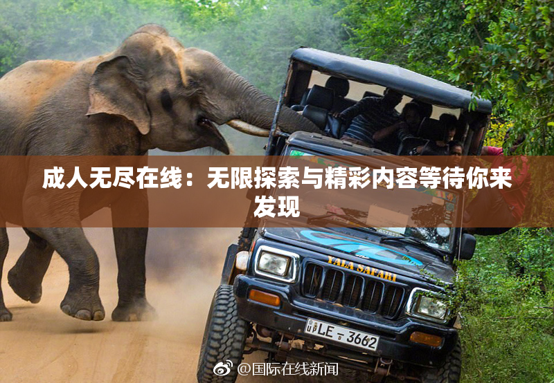 成人无尽在线：无限探索与精彩内容等待你来发现