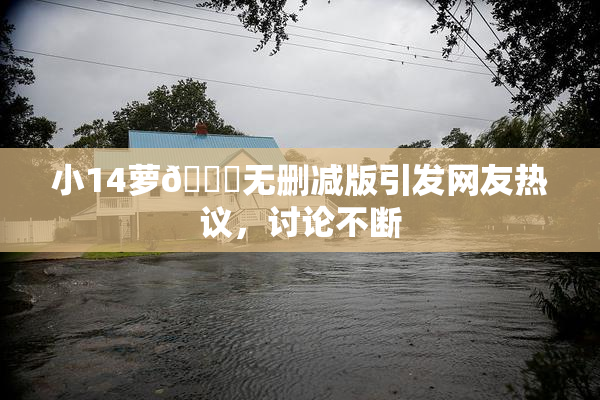 小14萝🔞无删减版引发网友热议，讨论不断