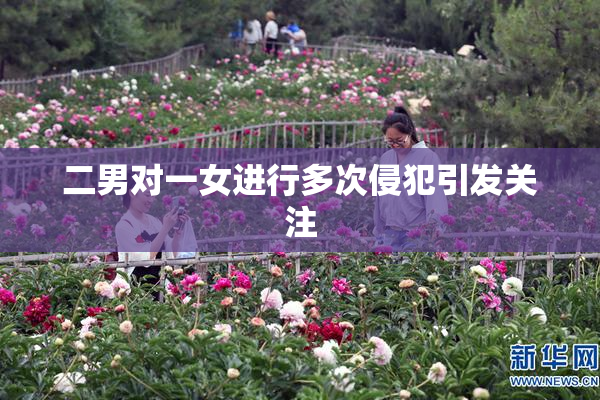 二男对一女进行多次侵犯引发关注