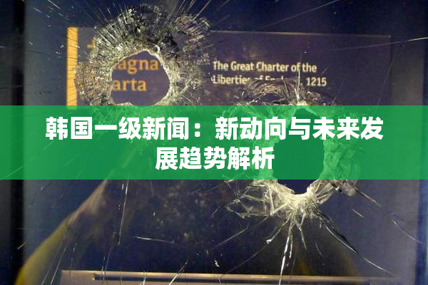 韩国一级新闻：新动向与未来发展趋势解析