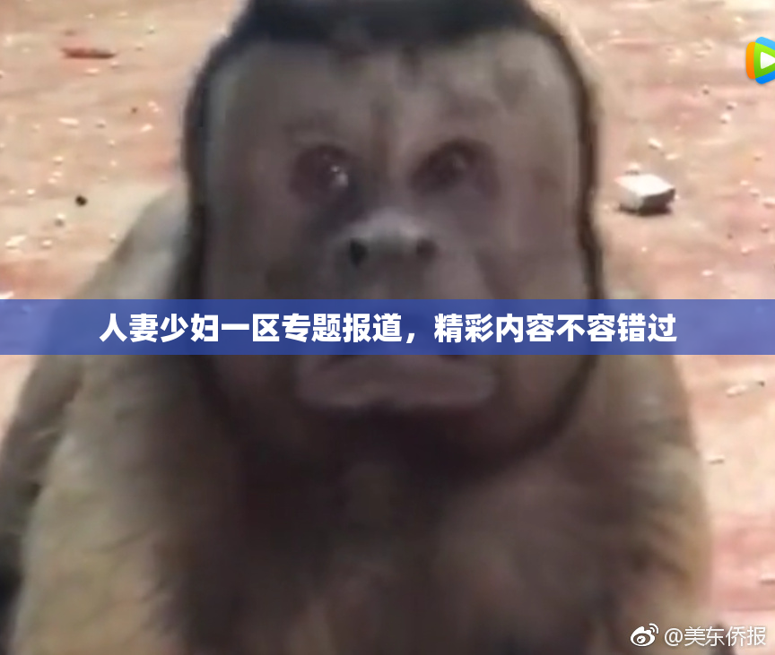 人妻少妇一区专题报道，精彩内容不容错过