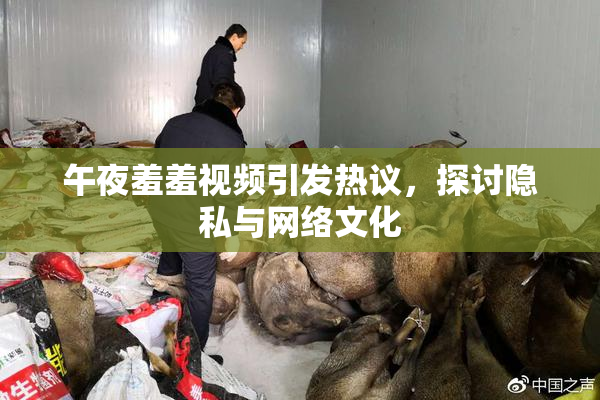 午夜羞羞视频引发热议，探讨隐私与网络文化