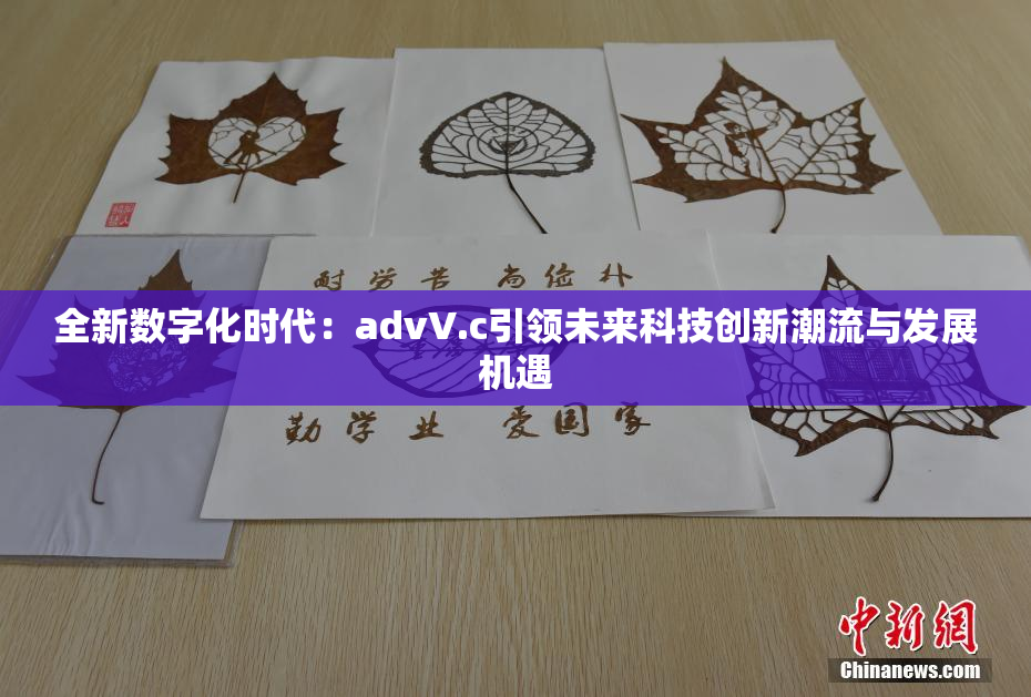 全新数字化时代：advV.c引领未来科技创新潮流与发展机遇