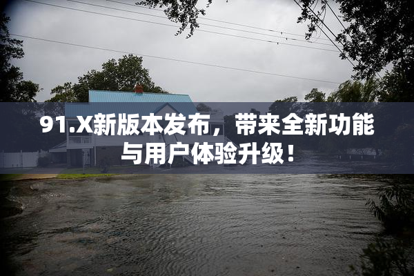 91.X新版本发布，带来全新功能与用户体验升级！