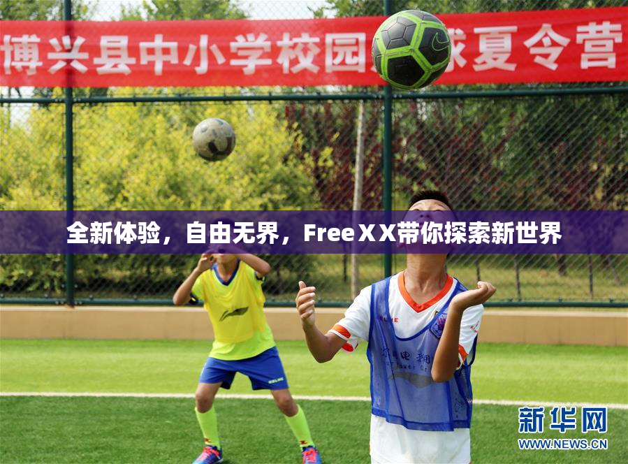 全新体验，自由无界，FreeⅩX带你探索新世界
