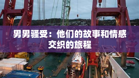 男男骚受：他们的故事和情感交织的旅程