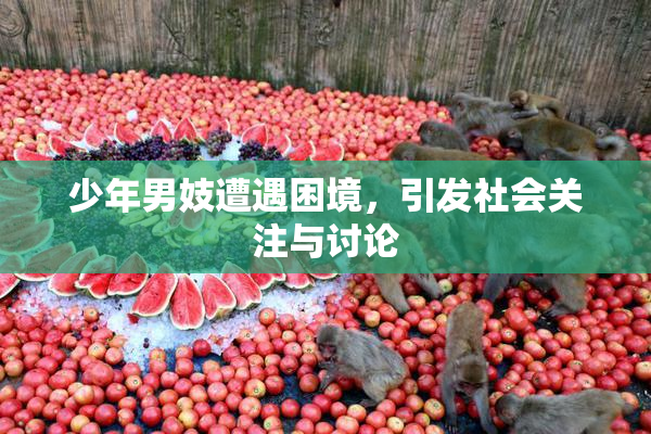 少年男妓遭遇困境，引发社会关注与讨论