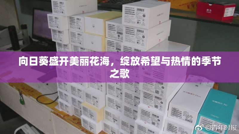 向日葵盛开美丽花海，绽放希望与热情的季节之歌