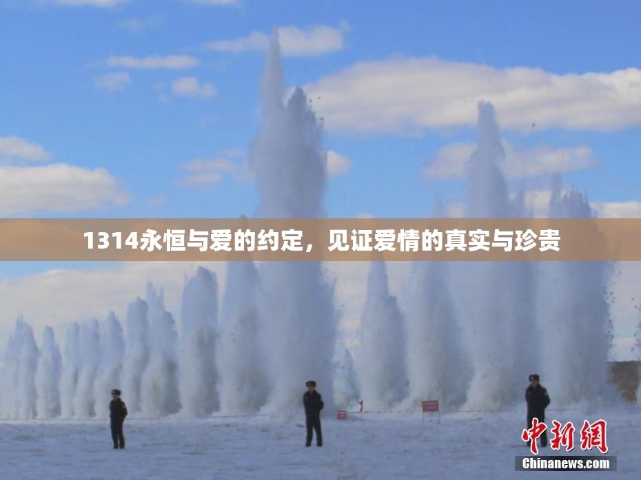 1314永恒与爱的约定，见证爱情的真实与珍贵
