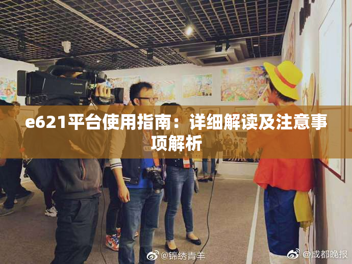 e621平台使用指南：详细解读及注意事项解析