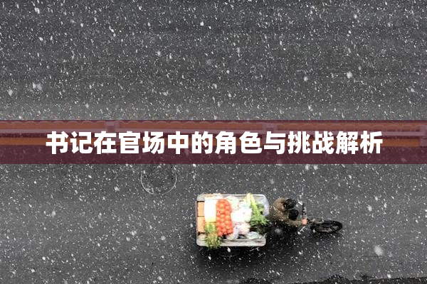 书记在官场中的角色与挑战解析