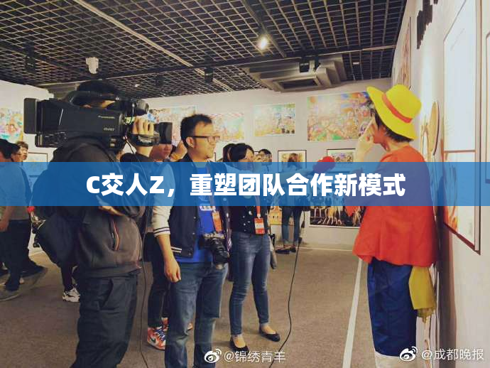 C交人Z，重塑团队合作新模式