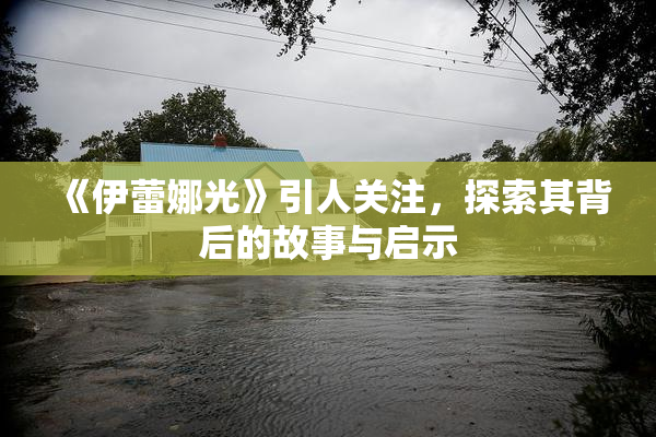 《伊蕾娜光》引人关注，探索其背后的故事与启示