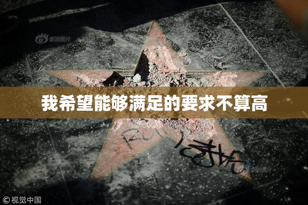 我希望能够满足的要求不算高
