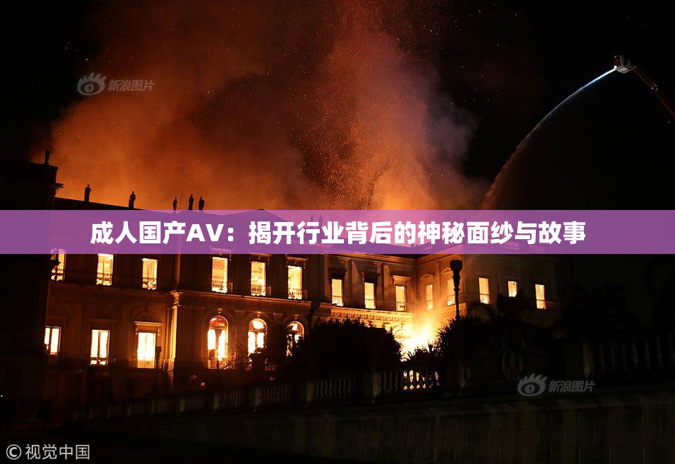 成人国产AV：揭开行业背后的神秘面纱与故事