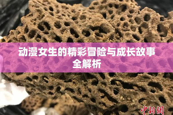 动漫女生的精彩冒险与成长故事全解析