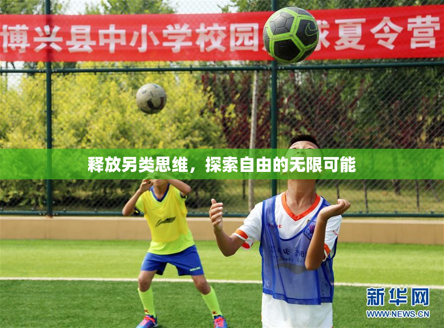 释放另类思维，探索自由的无限可能