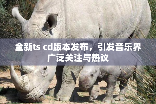 全新ts cd版本发布，引发音乐界广泛关注与热议