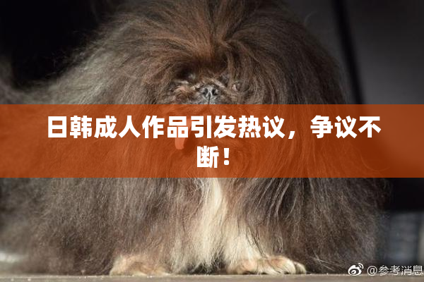 日韩成人作品引发热议，争议不断！