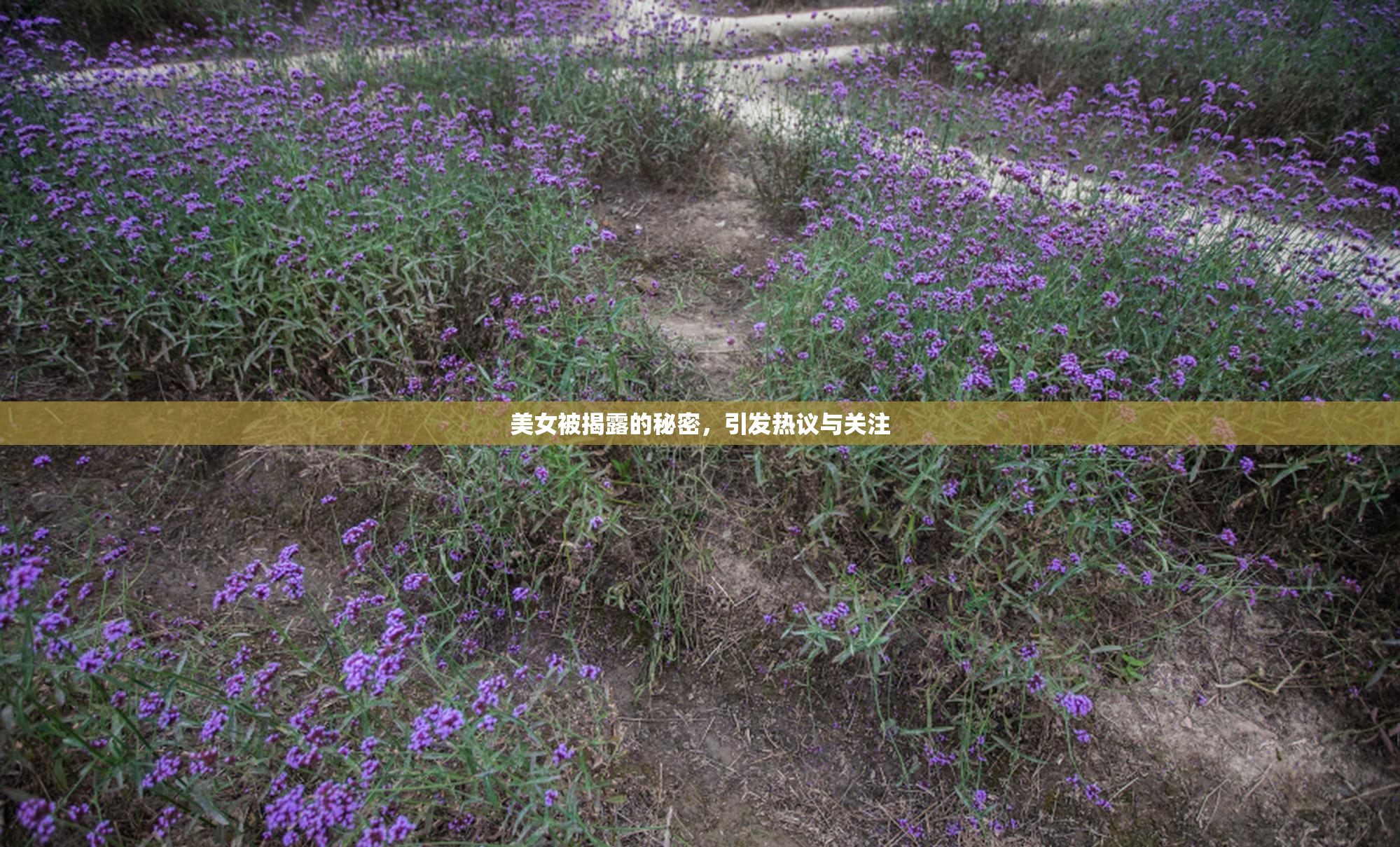 美女被揭露的秘密，引发热议与关注
