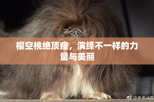 樱空桃绝顶痉，演绎不一样的力量与美丽