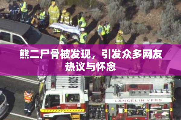 熊二尸骨被发现，引发众多网友热议与怀念