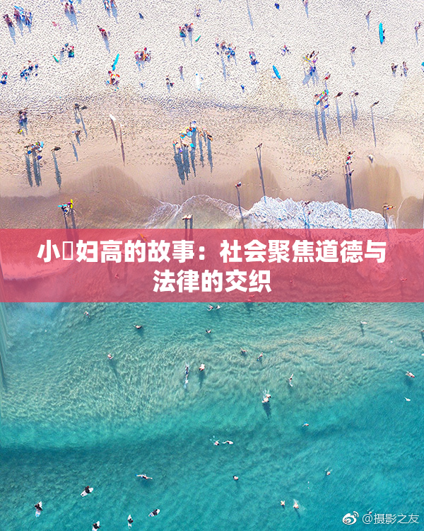 小婬妇高的故事：社会聚焦道德与法律的交织