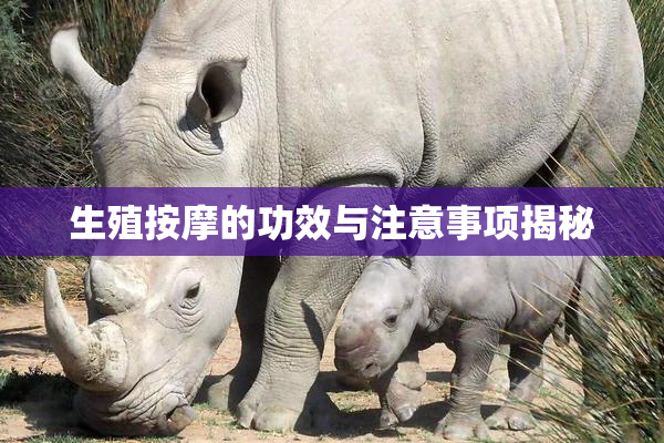 生殖按摩的功效与注意事项揭秘