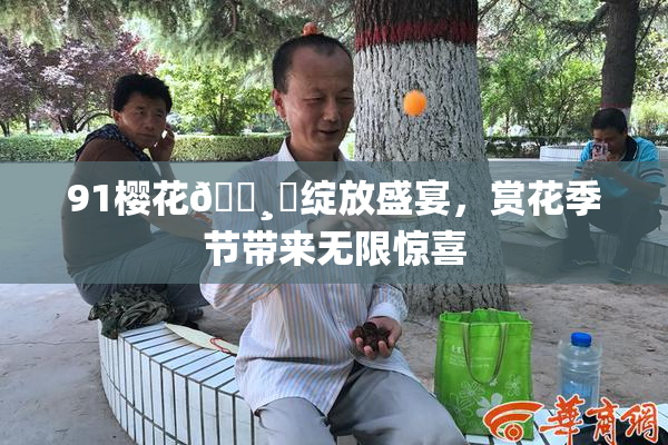 91樱花🌸‌绽放盛宴，赏花季节带来无限惊喜