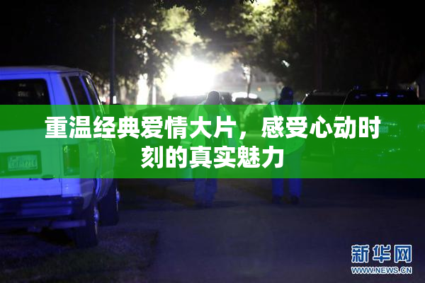 重温经典爱情大片，感受心动时刻的真实魅力