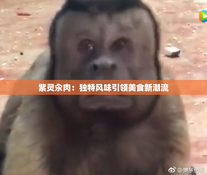 紫灵汆肉：独特风味引领美食新潮流