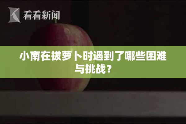 小南在拔萝卜时遇到了哪些困难与挑战？