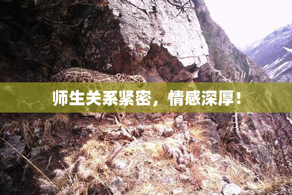 师生关系紧密，情感深厚！