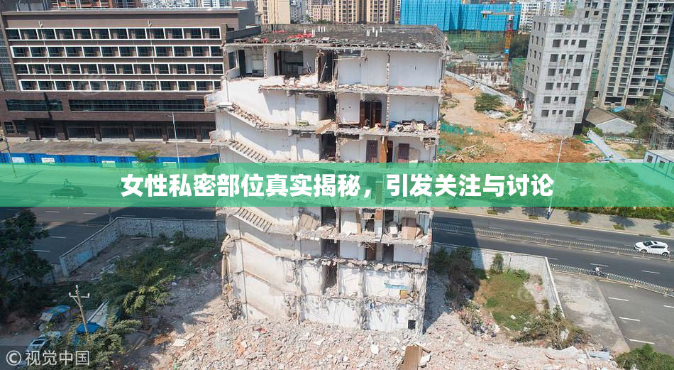 女性私密部位真实揭秘，引发关注与讨论