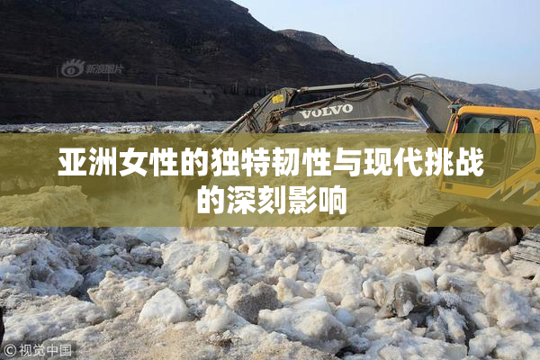 亚洲女性的独特韧性与现代挑战的深刻影响