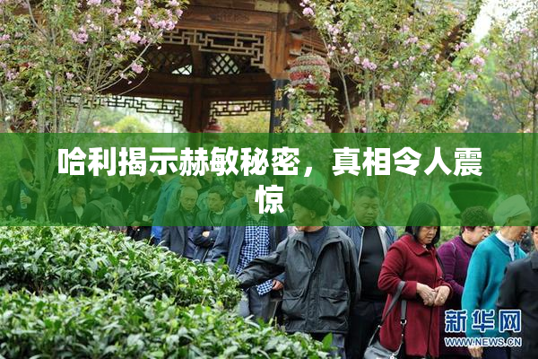 哈利揭示赫敏秘密，真相令人震惊
