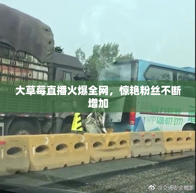 大草莓直播火爆全网，惊艳粉丝不断增加