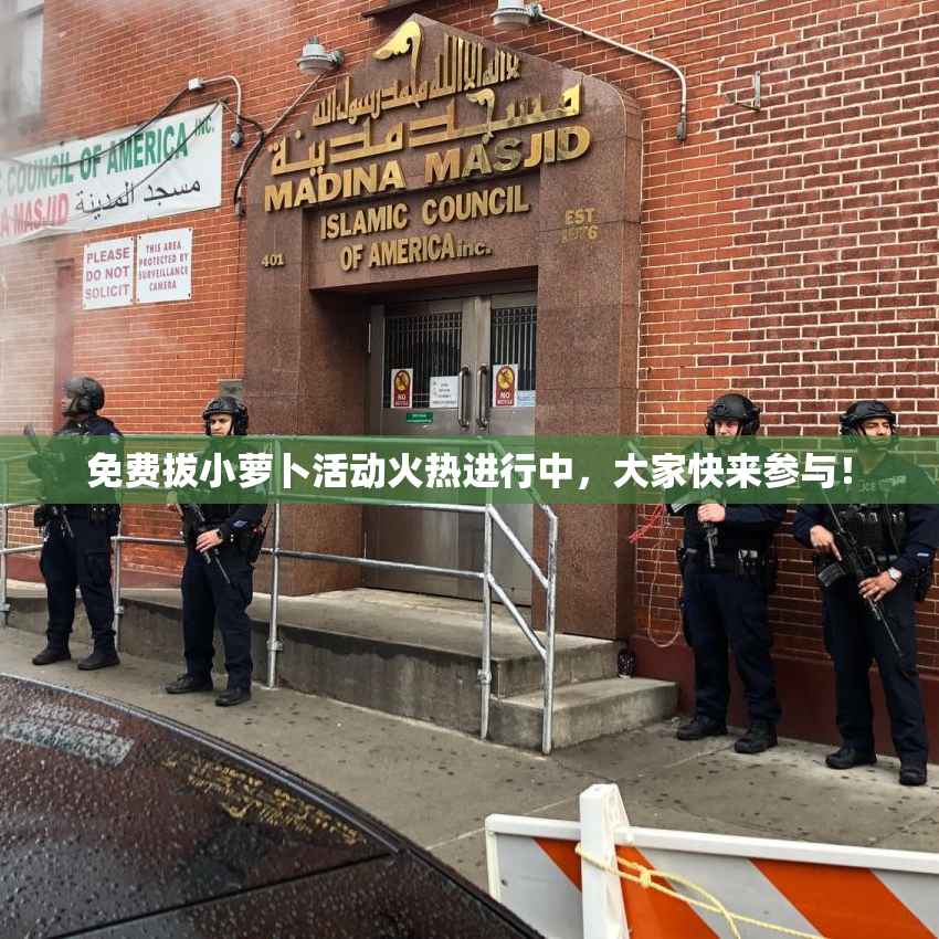 免费拔小萝卜活动火热进行中，大家快来参与！